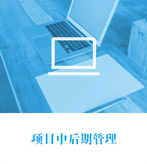 項目中后期管理